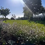 La Poggiarina Cavriglia